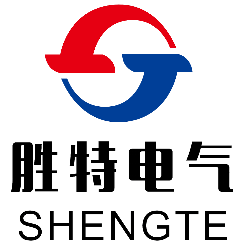 LOGO-SHENGTE